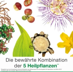 Dysto Loges Tropfen 50 ml