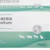 Echinacea Compositum Ad Us. vet. 50 Ampullen