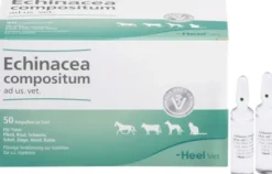 Echinacea Compositum Ad Us. vet. 50 Ampullen