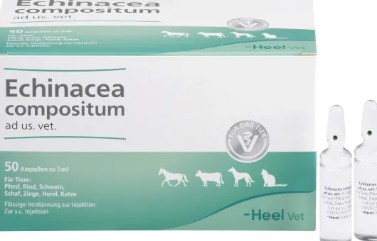 Echinacea Compositum Ad Us. vet. 50 Ampullen