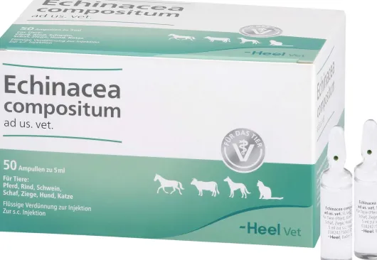 Echinacea Compositum Ad Us. vet. 50 Ampullen