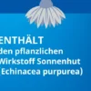Echinacea Stada Classic 100 ml Tropfen