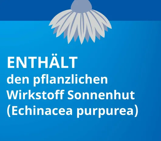Echinacea Stada Classic 100 ml Tropfen