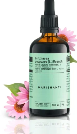Echinacea Wurzel Extrakt Tropfen alkoholfrei 100 ml
