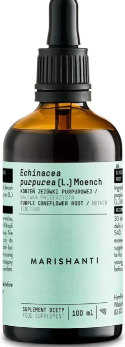 Echinacea Wurzel Extrakt Tropfen alkoholfrei 100 ml