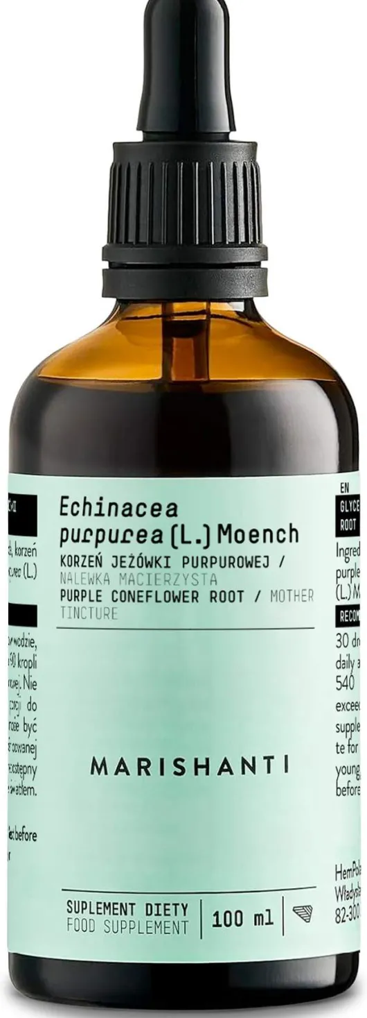 Echinacea Wurzel Extrakt Tropfen alkoholfrei 100 ml