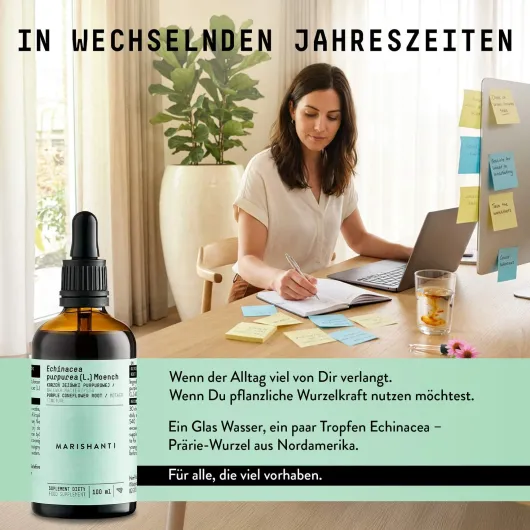 Echinacea Wurzel Extrakt Tropfen alkoholfrei 100 ml