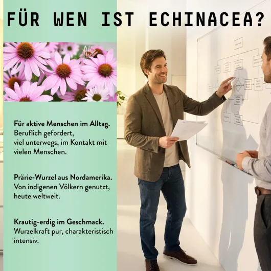 Echinacea Wurzel Extrakt Tropfen alkoholfrei 100 ml