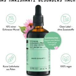 Echinacea Wurzel Extrakt Tropfen alkoholfrei 100 ml