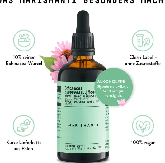 Echinacea Wurzel Extrakt Tropfen alkoholfrei 100 ml