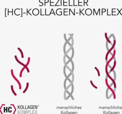 Elasten Trinkampullen 3 x 28 Stück Geschenkbox