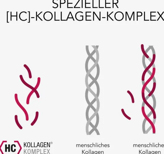Elasten Trinkampullen 3 x 28 Stück Geschenkbox