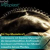 Equitop Myoplast 1,5 kg Granulat