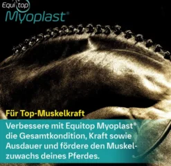 Equitop Myoplast 1,5 kg Granulat