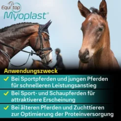 Equitop Myoplast 1,5 kg Granulat
