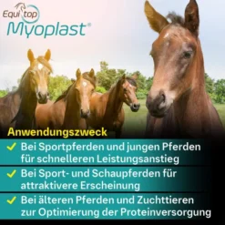Equitop Myoplast 1,5 kg Granulat