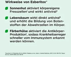 Esberitox 90 Tabletten