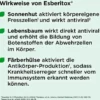 Esberitox 60 Tabletten