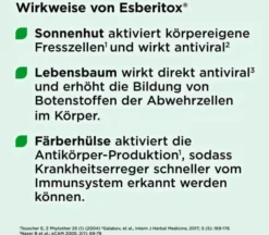 Esberitox 60 Tabletten