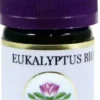 Eukalyptus Öl Bio 5 ml Öl