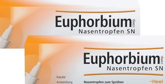 Euphorbium comp. Nasentropfen SN Nasendosierspray 2 x 20ml
