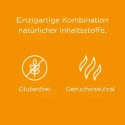 Euphorbium comp. Nasentropfen SN 20 ml Nasendosierspray