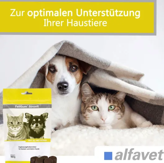FeliGum Struvit 80 Kaudrops für Katzen und kleine Hunde