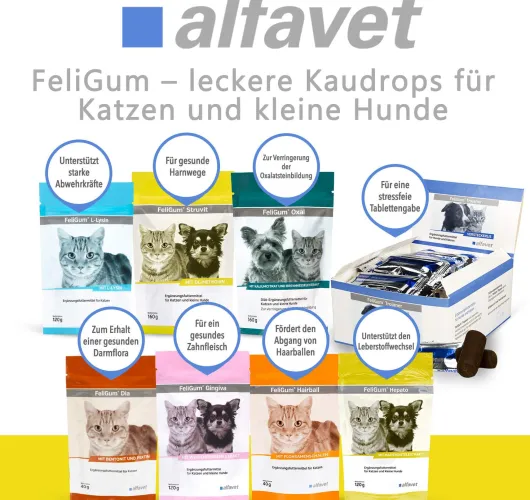 FeliGum Struvit 80 Kaudrops für Katzen und kleine Hunde