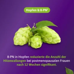 Femibion Menopause Hitzewallungen 30 Tabletten