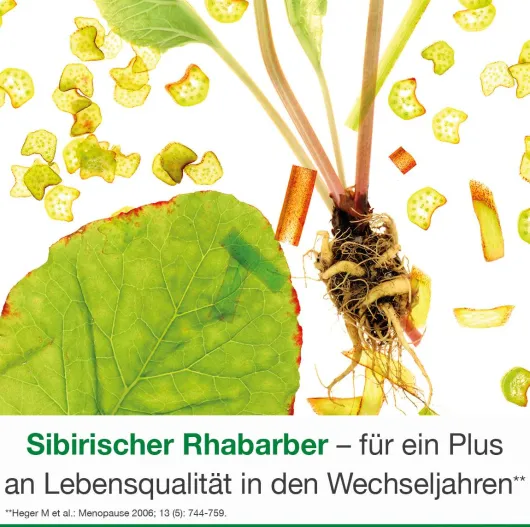 femiLoges 90 magensaftresistente Tabletten