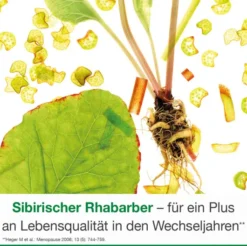 femiLoges 60 magensaftresistente Tabletten