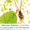 femiLoges 30 magensaftresistente Tabletten
