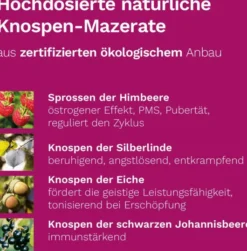 Femin Plus Dr.Koll Gemmo Komplex Himbeer Vitamin B 50 ml Tropfen
