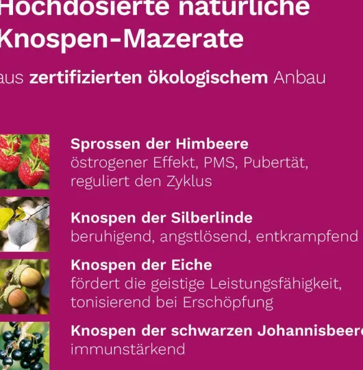 Femin Plus Dr.Koll Gemmo Komplex Himbeer Vitamin B 50 ml Tropfen