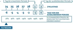 Femtest Frühtest 1 Stück