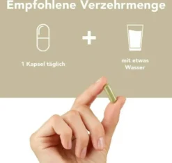 Fermentura Ginseng Plus 30 Kapseln