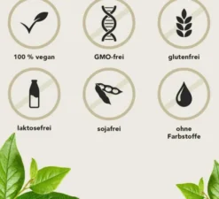 Fermentura Ginseng Plus 30 Kapseln