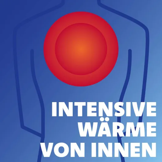 Finalgon Wärmesalbe Duo 4 mg je g + 25 mg je g 20 g Salbe