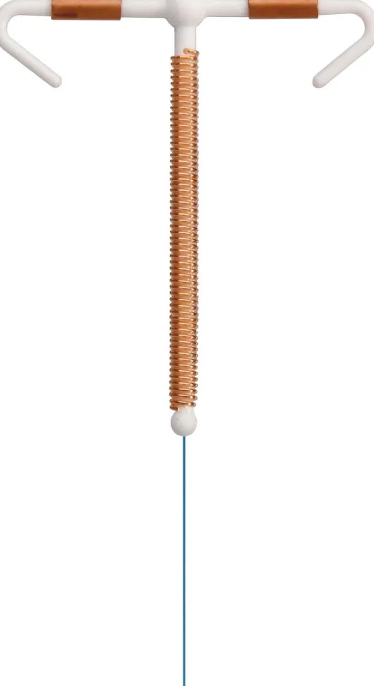 Flexi-T 380 Plus Intrauterinpessar 1 Stück