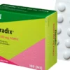 Floradix Eisen 100 mg Forte 100 Filmtabletten