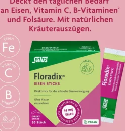 Floradix Eisen Sticks 50 Stück