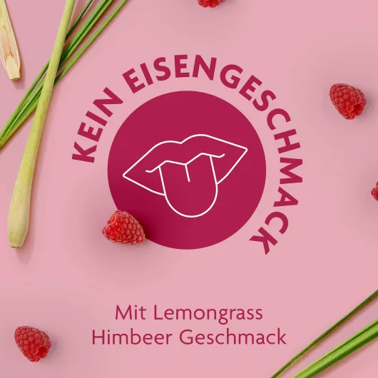 Floradix Eisen Sticks 50 Stück