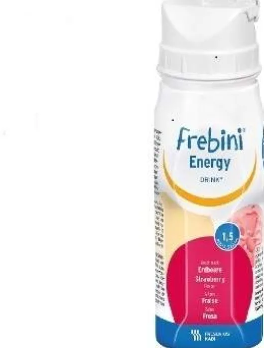 Frebini Energy Drink Erdbeere Trinkflasche