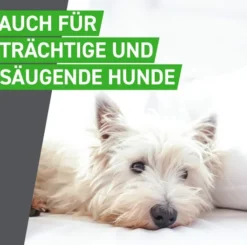 Frontline Combo Spot On Hund M 10-20 kg 3 Pipetten