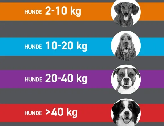 Frontline Combo Spot on Hund S 2-10 kg 3 Pipetten