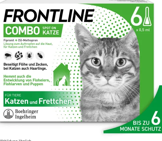 Frontline Combo Spot on Katze 6 Pipetten
