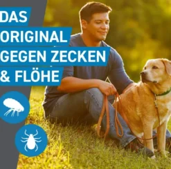 Frontline Spot On Hund L 20-40 kg 6 Pipetten