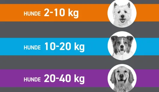 Frontline Spot On Hund M 10-20 kg 3 Pipetten