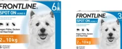 Frontline Spot On Hund S 2-10 kg 6 + 3 Pipetten