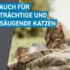 Frontline Spot on Katze 3 Pipetten